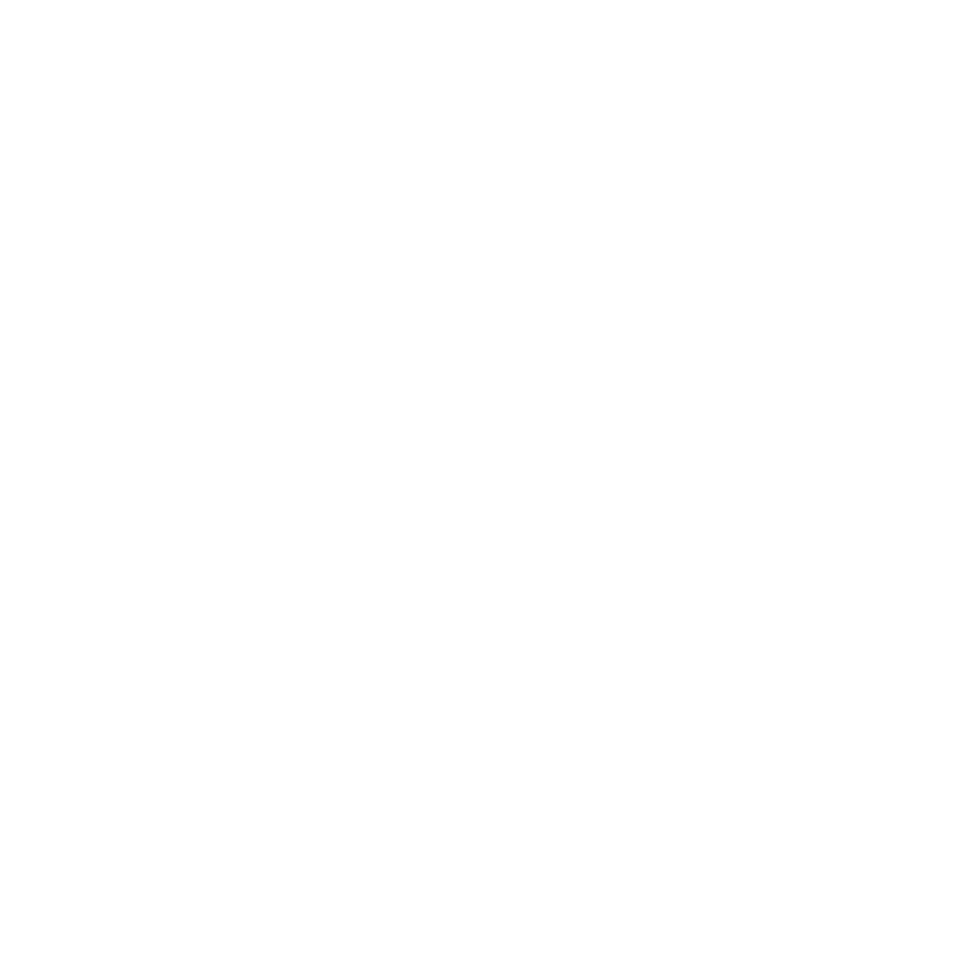 AnyConv.com__Village (1)